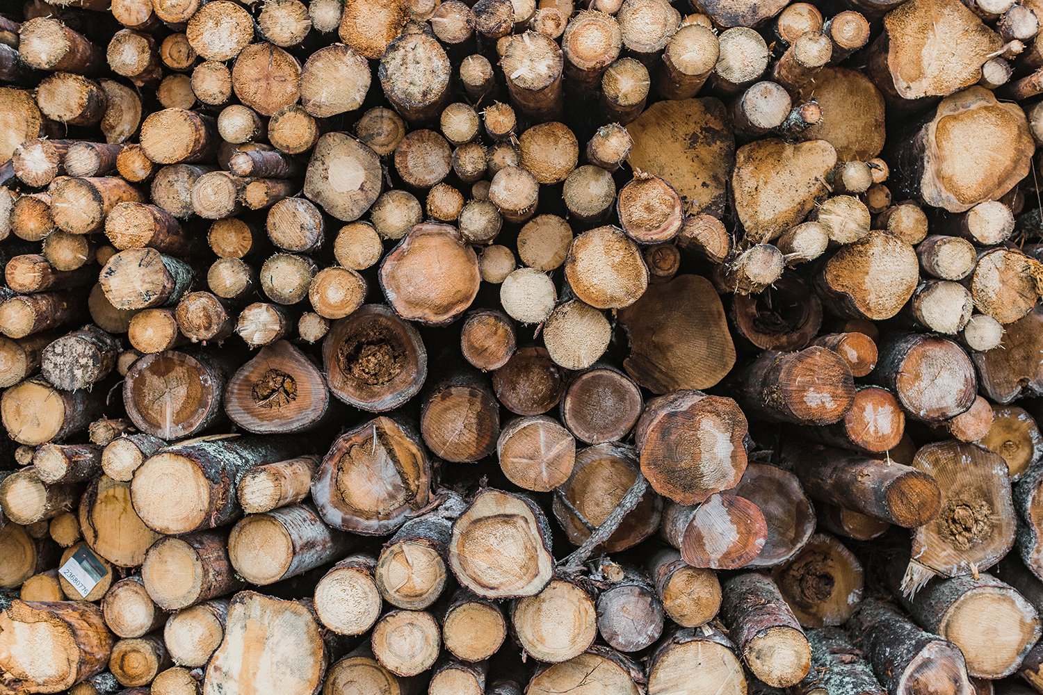 Lower carbon footprint with wood