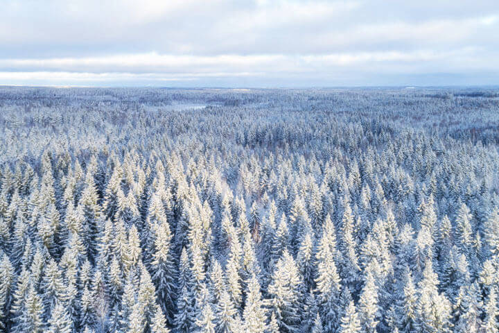 Siter-arctic-720x480-1
