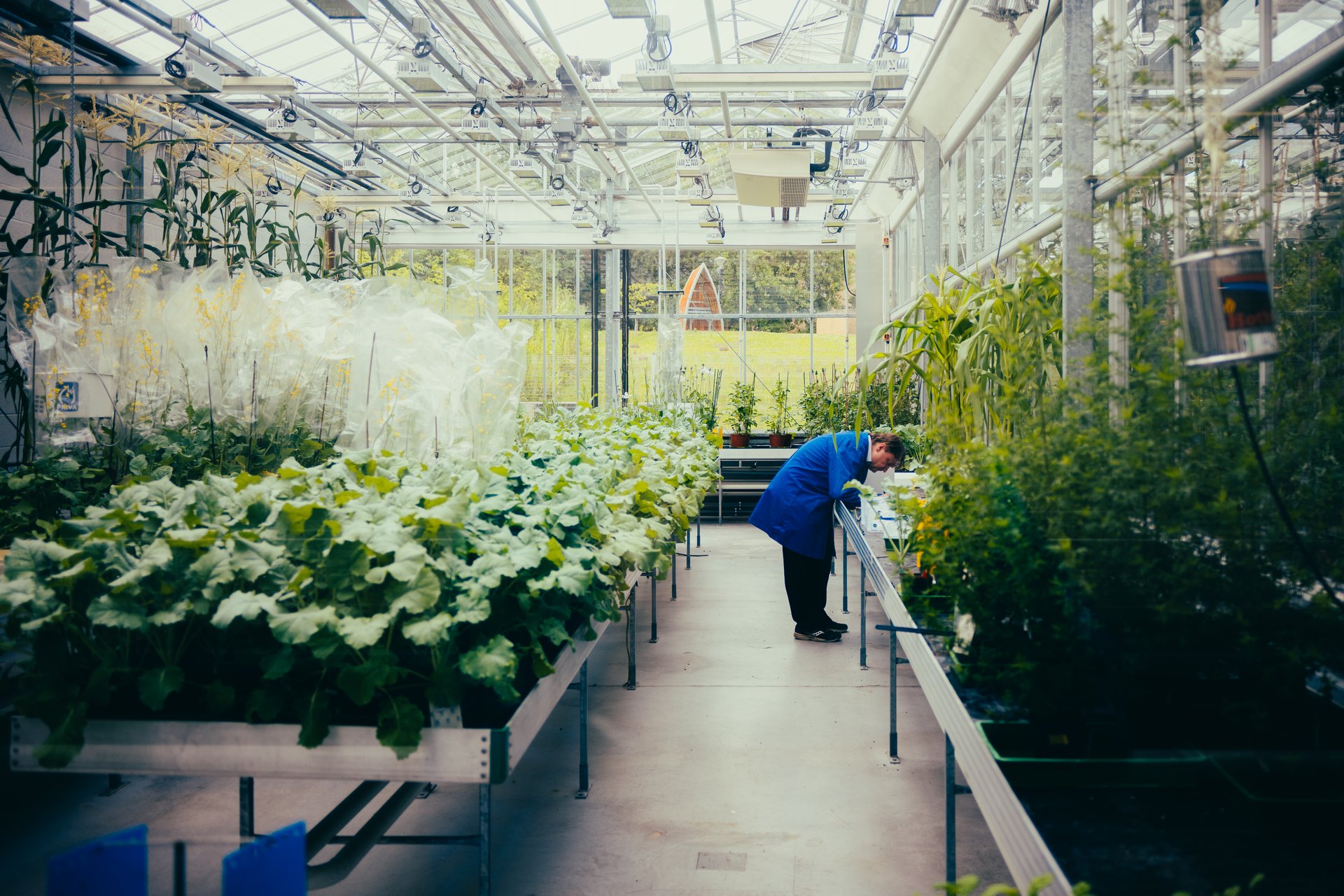 UoY_BRIC-  Celebrating Spaces_gen - June 2024 - Alex Holland-141